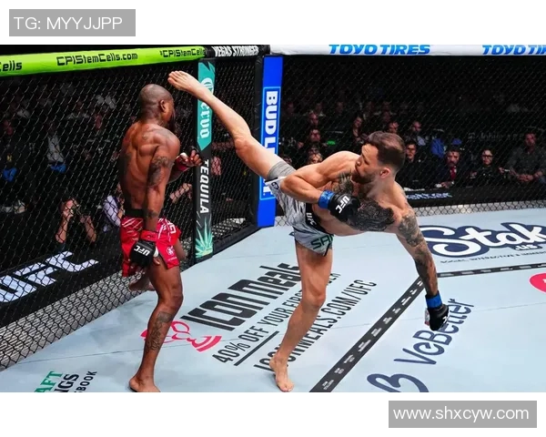 UFC布朗与毁灭者的巅峰对决谁将成为终极战斗之王